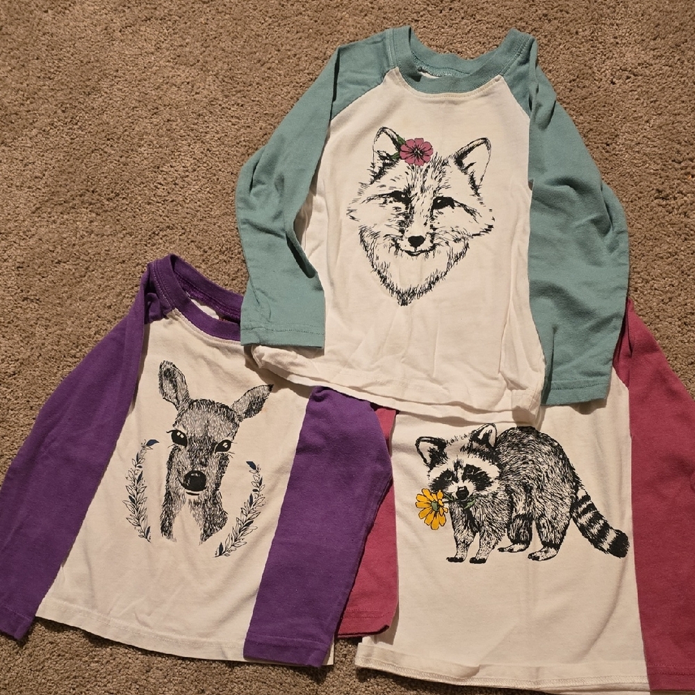 Kids Animal Print Raglan Shirts - Teal, Purple, Pink